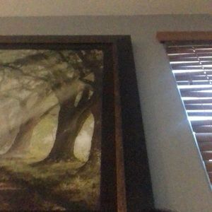 Meet your Posher, Jacqueline